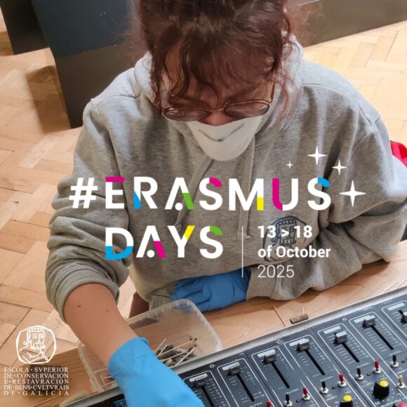 Erasmus Days